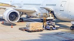 Air Cargo on the Rise in November