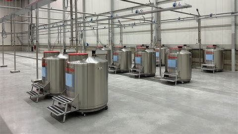 Thermo Fisher Scientific Introduces New EU Ultra-Cold Facility