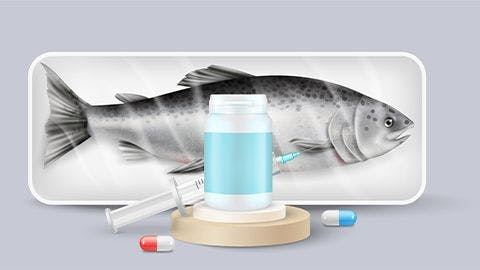 Merck Animal Health Inks $1.3 Billion Deal for Elanco’s Aqua Brand