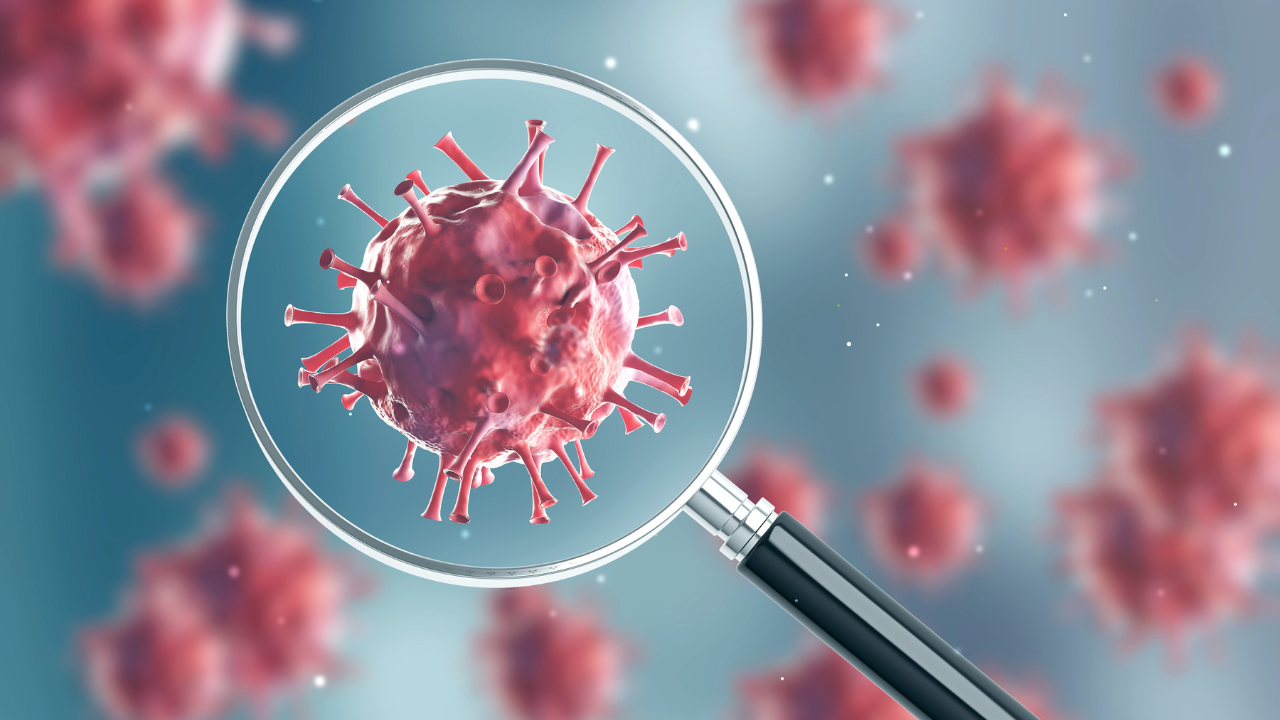 Red virus under a magnifying glass. Image Credit: Adobe Stock Images/ImageFlow