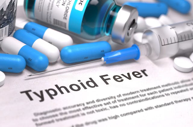 Diagnosis - Typhoid Fever. Medical Concept. 3D Render.