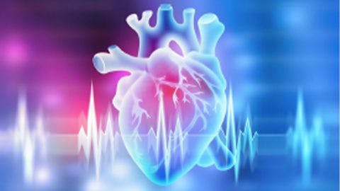 Innovation in Heart Disease: A Deep Dive