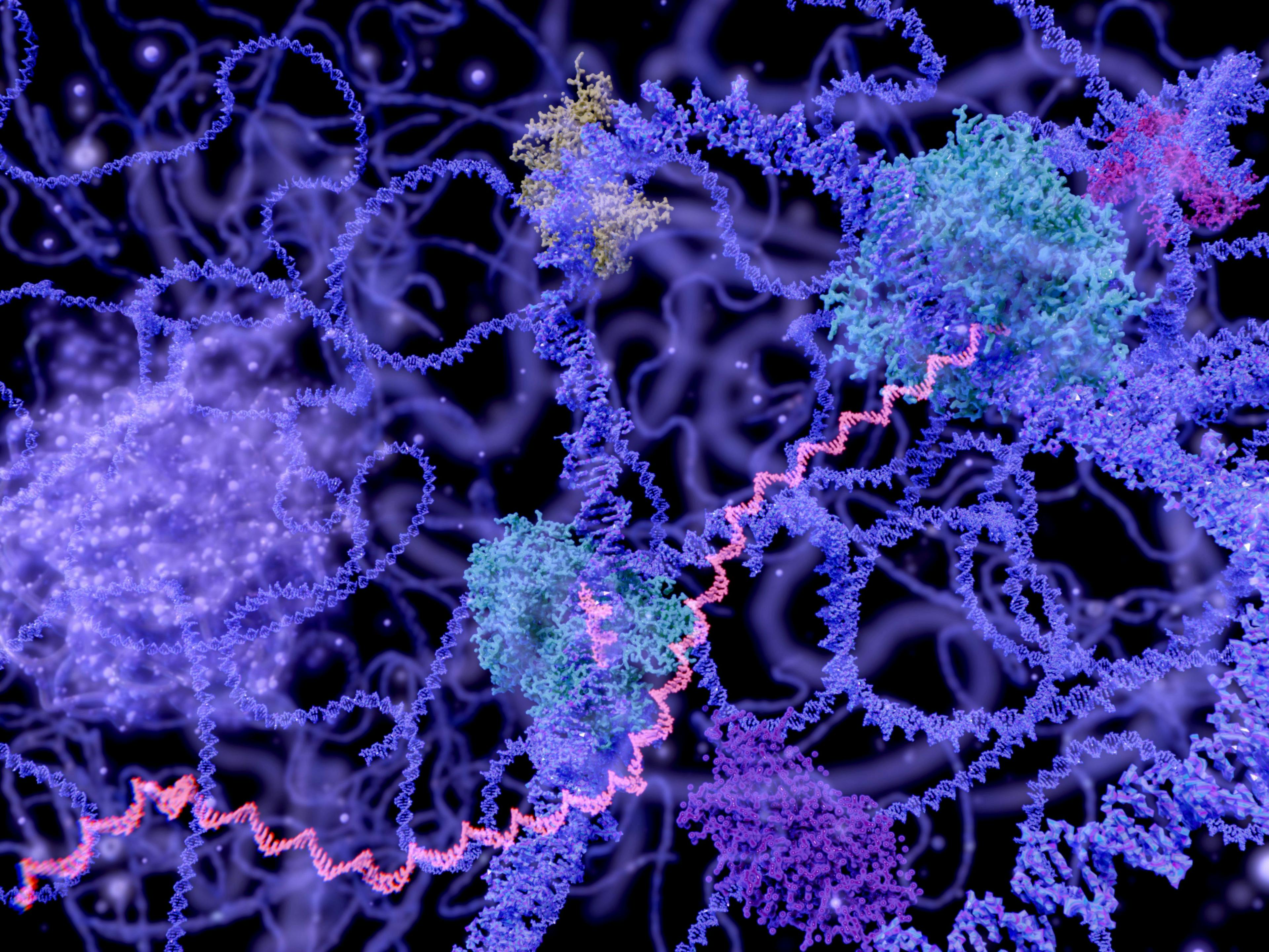 Moleküle im Zellkern. Image Credit: Adobe Stock Images/Juan Gärtner