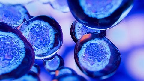 Regeneron Acquires 2seventy bio’s Novel Immune Cell Therapy Pipeline 
